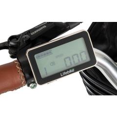 Display LCD Lifebike